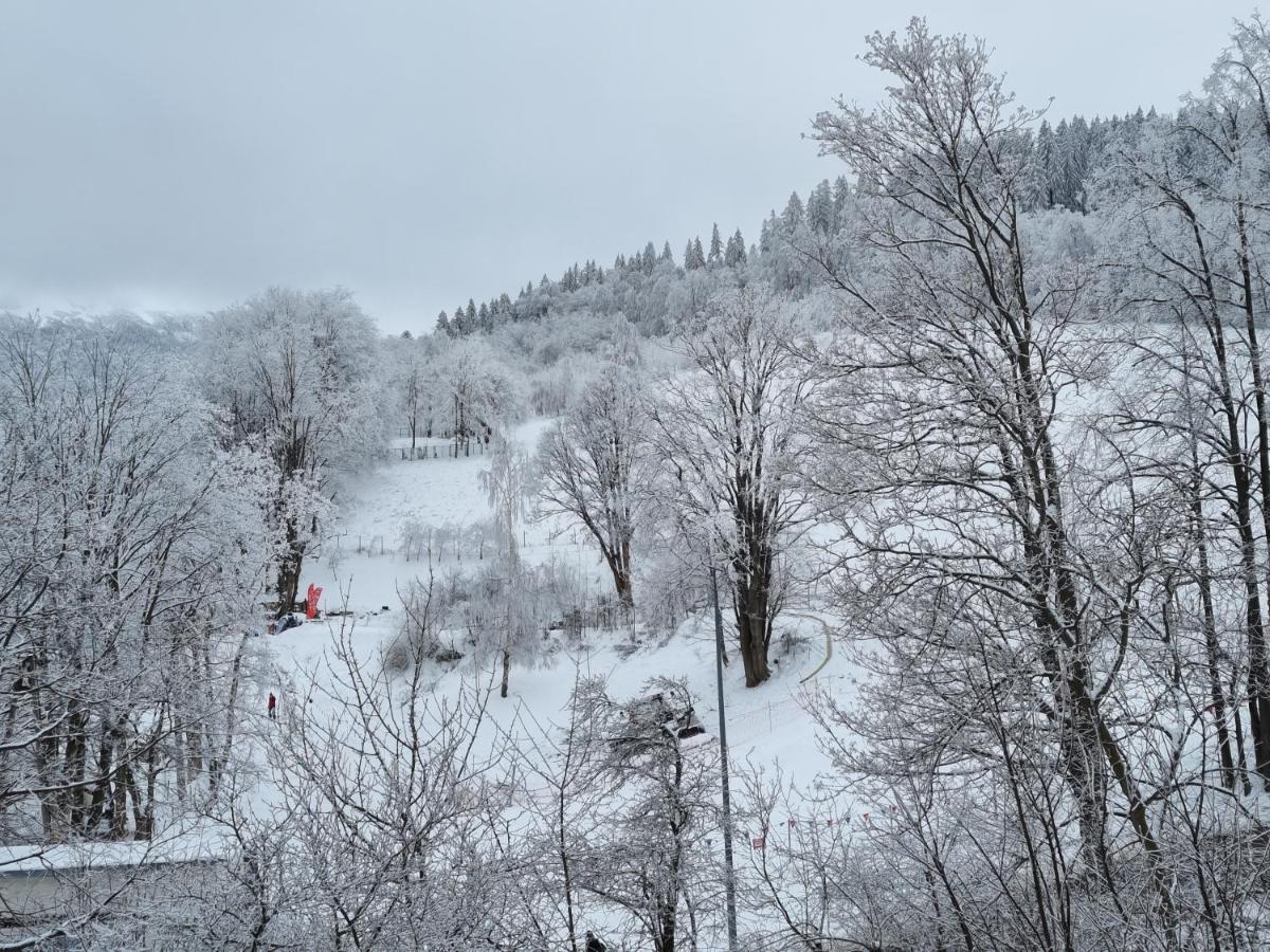 Moje Miejsce - Mieszkanie Z Duzym Tarasem Na Wylacznosc Karpacz Dış mekan fotoğraf